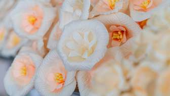 buddhist-funeral-traditions.jpg?sw=336&cx=0&cy=304&cw=6000&ch=3393&q=60