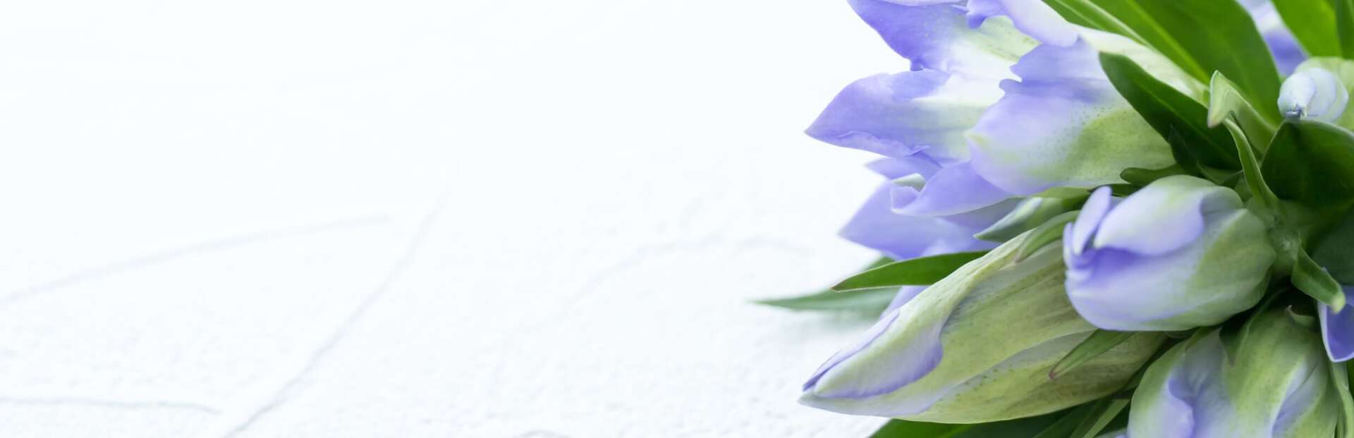 Image alt text.