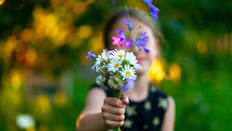 shutterstock_1378589681.jpg?sw=336&cx=0&cy=284&cw=5616&ch=3176&q=60