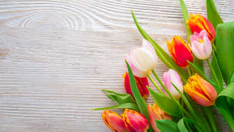 shutterstock_1904355433.jpg?sw=336&cx=0&cy=277&cw=5472&ch=3095&q=60