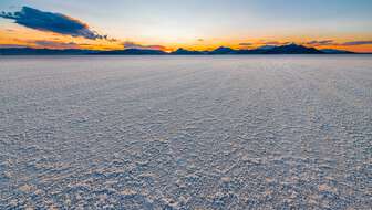 shutterstock_2324500475.jpg?sw=336&cx=0&cy=418&cw=8256&ch=4669&q=60