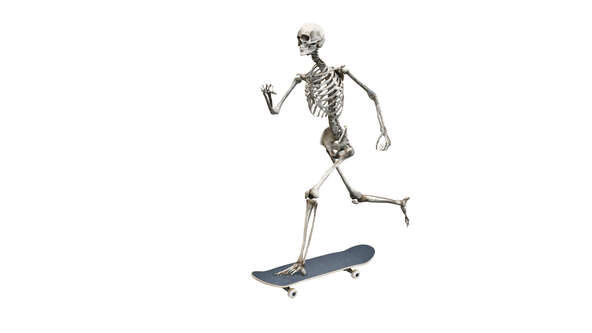 SKATEGEEZER2.jpg?sw=592&cx=0&cy=0&cw=1920&ch=1080&q=60
