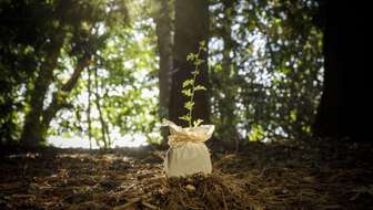 Terramation - Photo - 1610 (1200x750).jpg?sw=336&cx=0&cy=36&cw=1200&ch=679&q=60