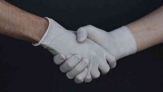 Tulip_COVID_.jpeg?sw=336&cx=52&cy=0&cw=796&ch=450&q=60