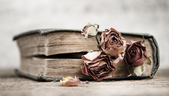 elegy.png?sw=336&cx=77&cy=0&cw=1180&ch=667&q=60