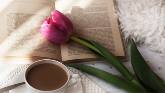 tulip-on-book.png?sw=336&cx=154&cy=1&cw=1180&ch=667&q=60