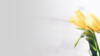 what-to-do-flower.png?sw=336&cx=10&cy=0&cw=883&ch=499&q=60